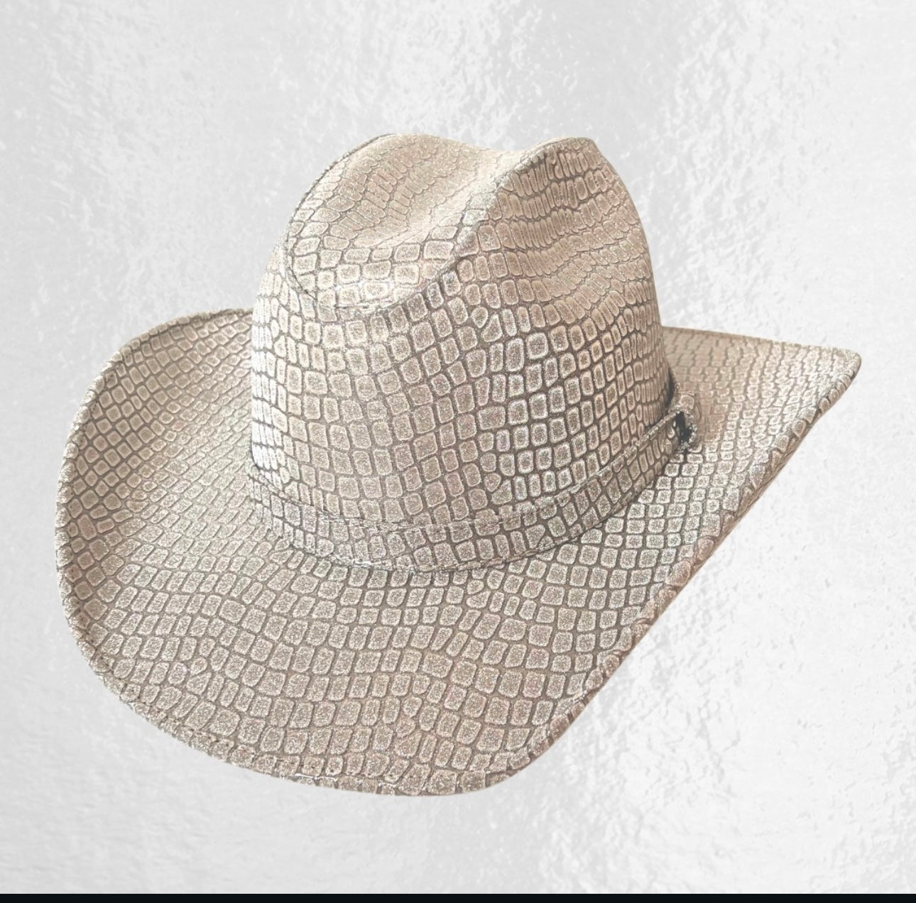 sombrero_GLITER PLATA