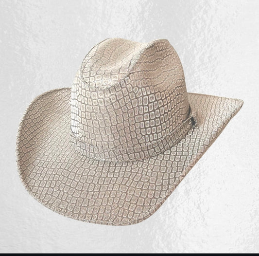 sombrero_GLITER PLATA